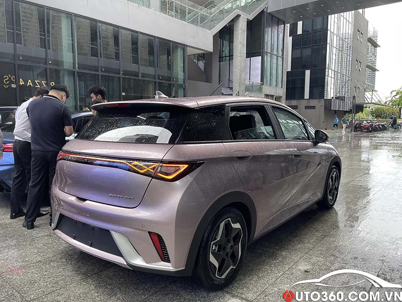 Đuôi xe BYD dolphin 