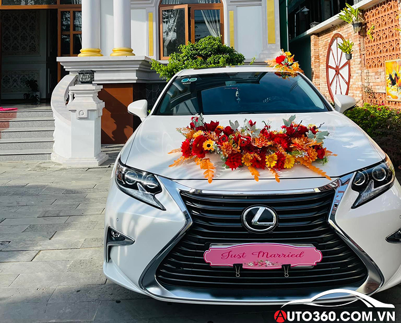 Thuê xe Honad City tự lái An Giang
