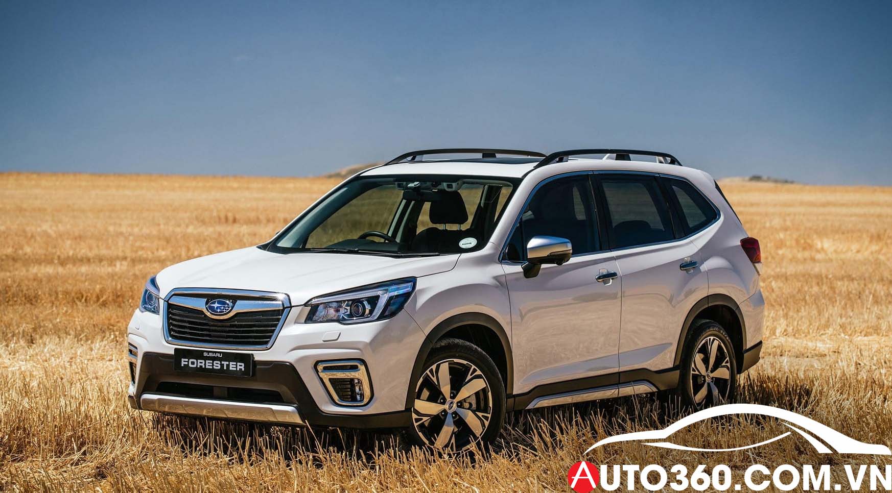 Xe subaru Forester Minh Thanh