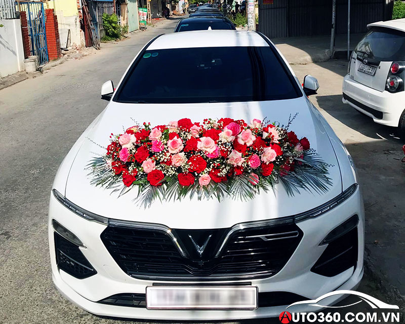 Thu&ecirc; xe tự l&aacute;i Hoa Binh