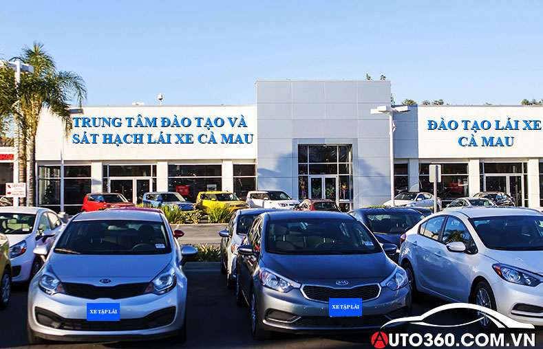 Trung t&acirc;m d&agrave;o tạo v&agrave; s&aacute;t hạch l&aacute;i xe C&agrave; Mau