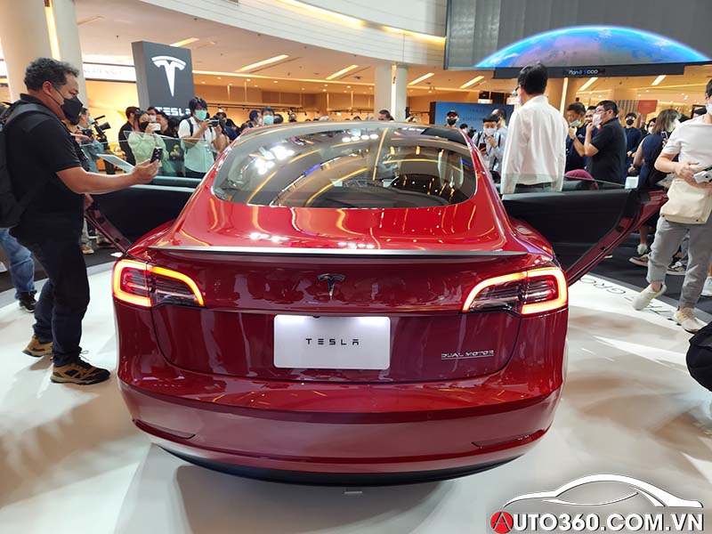 Tesla Model 3 và Model Y